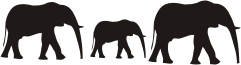 INDIGOS WG10194-90 Wandtattoo W194 Elefant Afrika Tier Wandaufkleber 80 x 66 cm, silber