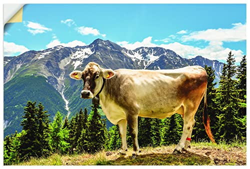 ARTland Qualitätsbilder I Wandtattoo Wandsticker Wandaufkleber 60 x 40 cm Tiere Haustiere Kuh Foto Grün C8CR Bergkuh in den Alpen im Sommer