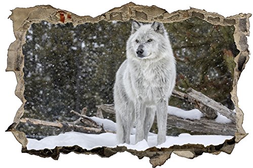 DesFoli Wolf Schnee Wald Natur Tier 3D-Optik Wandtattoo 70 x 105 cm Wandbild Sticker Aufkleber D148