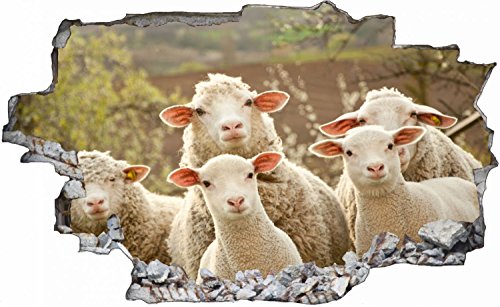 Schafe auf Weide Schaf Wandtattoo Wandsticker Wandaufkleber C0107 Größe 70 cm x 110 cm