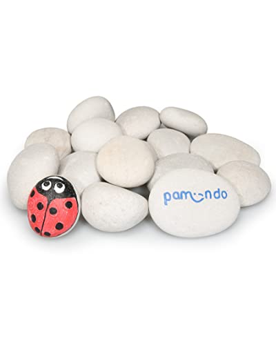 pamindo® Steine zum Bemalen Set - Glatte rundliche und teilweise Flache Kieselsteine zum Basteln - handverlesene Deko-Steine als Kreativ Set für Kinder – hellgrau/beige - Natursteine 50-80 mm groß