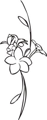 INDIGOS WG30189 70 w189 Pflanze Blume Ranke Wandaufkleber 120 x 47 cm, schwarz