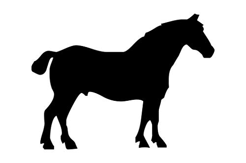 das-label Wandtattoo Pferdesport „Pferd_010“ in 4 Größen Outdoor schwarz, Größe M