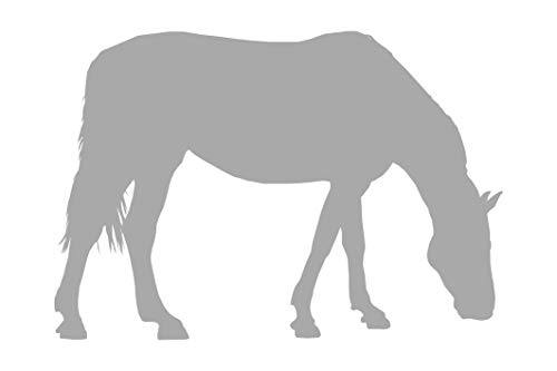 das-label Wandtattoo Pferdesport „Pferd_002“ in 4 Größen Outdoor Silber/Größe M