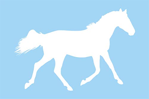 das-label Wandtattoo Pferdesport „Pferd_004“ in 4 Größen Outdoor weiß/Größe M