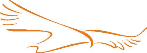 INDIGOS UG - Wandtattoo Wandsticker Wandaufkleber Aufkleber D328 fliegenden Adler 80x29 cm - orange