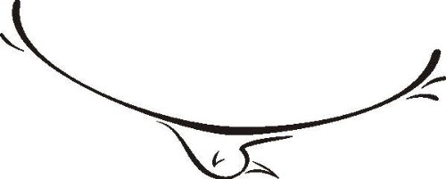 INDIGOS UG - Wandtattoo Wandsticker Wandaufkleber Aufkleber D332 fliegenden Adler Flügel 40x16 cm - schwarz