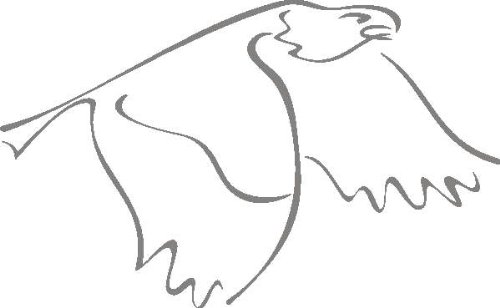 PEMA INDIGOS UG - Wandtattoo Wandsticker Wandaufkleber Aufkleber d359 fliegenden Adler 120x74 cm - glasdekor