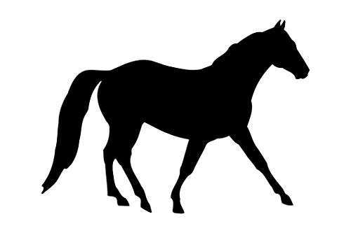 das-label Wandtattoo Pferdesport „Pferd_016“ in 4 Größen Outdoor schwarz/Größe S