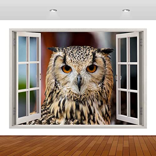 Wandtattoo - Eule, Tier, Vogel, Schöne 3D-Wandaufkleber, Poster, Vinyl-Wandbild Wandaufkleber dekorative Kunst 50x70cm