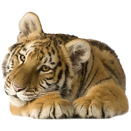 3d Wandtattoo Tiger Baby liegend Wandsticker Deko Aufkleber, Wandaufkleber Wildkatze Dschungel Wohnzimmer Schlafzimmer Flur, 68x57cm