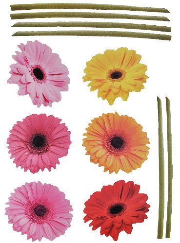 alles meine.de GmbH XXL / Sticker   Gerbera Stengel   Aster Blüten Blumen   selbstklebend für Wohnzimmer und Deko Wandsticker Aufkleber