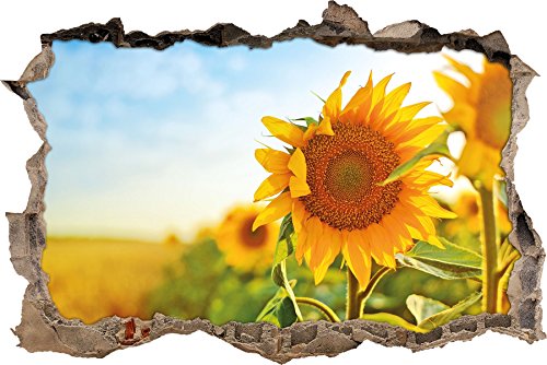 Pixxprint 3D_WD_1405_62x42 Sonnenblumen im Sonnenschein Wanddurchbruch 3D Wandtattoo, Vinyl, bunt, 62 x 42 x 0,02 cm