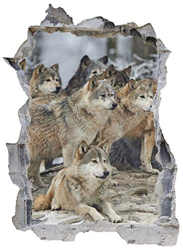 Wolf Rudel Wald Natur Tier Wandtattoo Wandsticker Wandaufkleber E0638 Größe 46 cm x 62 cm