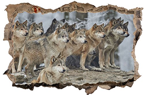Wolf Wolfsrudel Natur Tier Wandtattoo Wandsticker Wandaufkleber D0637 Größe 70 cm x 110 cm