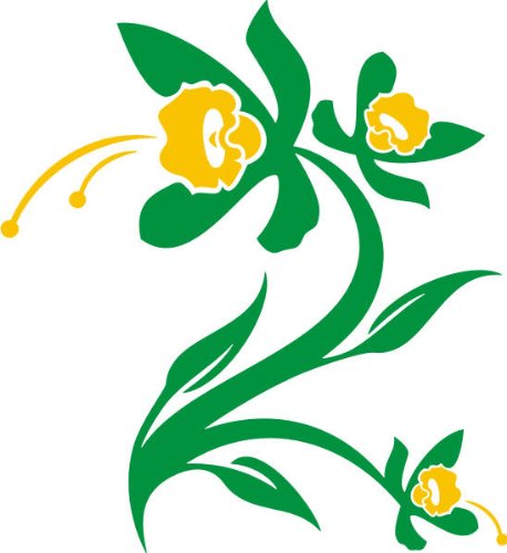 PEMA INDIGOS UG - Wandtattoo Wandsticker Wandaufkleber Aufkleber - Wandaufkleber DF340 Mehrfarbig schöne Orchideen 40 x 36 cm