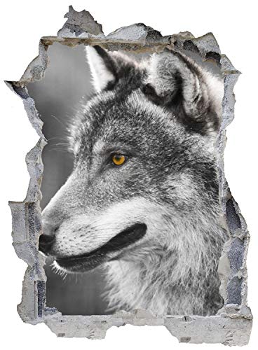 Wolf Wald Winter Nacht Wandtattoo Wandsticker Wandaufkleber E0521 Größe 46 cm x 62 cm