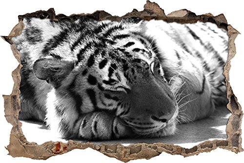 Pixxprint 3D_WD_5358_62x42 Verschlafener prächtiger Tiger Wanddurchbruch 3D Wandtattoo, Vinyl, schwarz / weiß, 62 x 42 x 0,02 cm