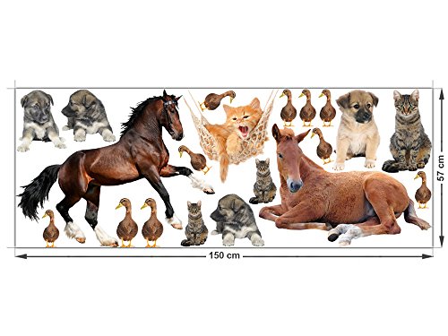 GRAZDesign Wandtattoo Kinderzimmer Tiere Set Pferde Hunde Enten Katzen (150x57cm)