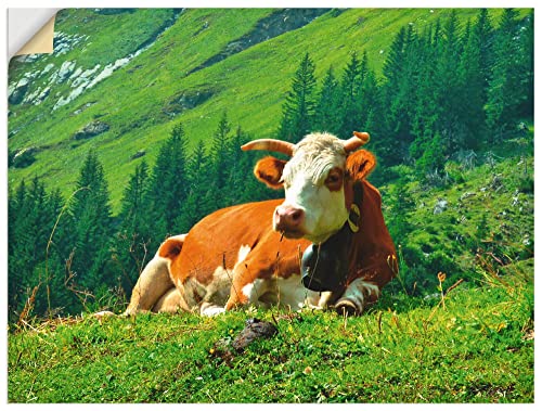 ARTland Qualitätsbilder I Wandtattoo Wandsticker Wandaufkleber 60 x 45 cm Tiere Haustiere Kuh Foto Natur C4AF Kuh auf der schweizer Alm