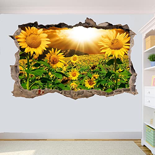 3D Wandtattoo Mauerloch Wandsticker SUNSHINE SONNENBLUME FELD WANDAUFKLEBER 3D KUNST WANDBILDER POSTER AUFKLEBER WOHNKUNST selbstklebend Durchbruch Wandaufkleber 80x120cm