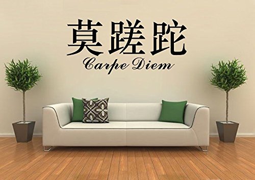 Wandtattoo wandaufkleber Aufkleber Wandsticker wall sticker Wohnzimmer Schlafzimmer Kinderzimmer 30 Farben zur Wahl Wandtext Wandwort Wandspruch spruch Zitat CARPE DIEM Chinesische Zeichen wzt22(064 gelbgr?, Größe1:ca.60x24cm )