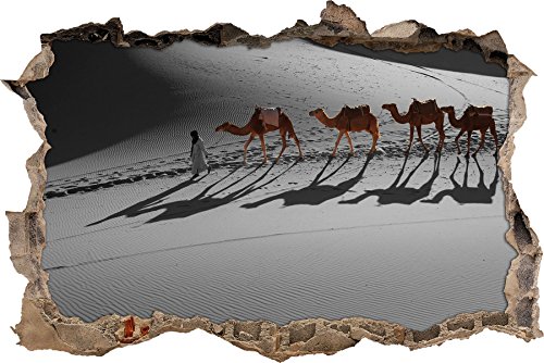 Pixxprint 3D_WD_5244_62x42 Kamelkarawane in der Sahara Wanddurchbruch 3D Wandtattoo, Vinyl, schwarz / weiß, 62 x 42 x 0,02 cm