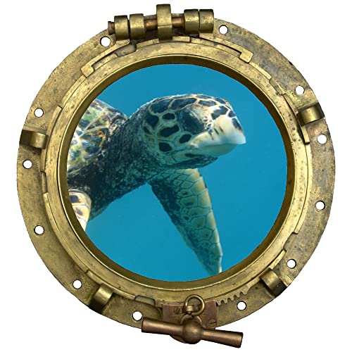 GRAZDesign Wandtattoo Badezimmer Bullauge Schildkröte, Wandsticker Fliesensticker Maritime Deko für Fliesen, Wand, Tür, Schrank, Wandaufkleber - 32x30cm