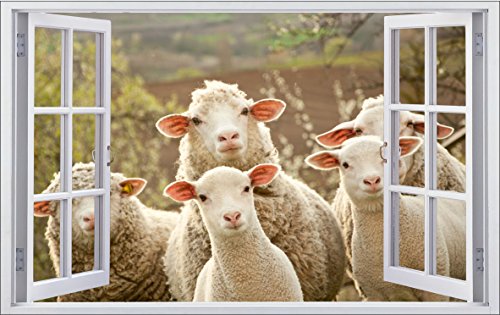 DesFoli Schafe Sheep 3D Look Wandtattoo 70 x 115 cm Wanddurchbruch Wandbild Sticker Aufkleber F107