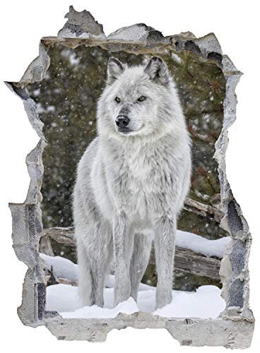 Wolf Wald Schnee Natur Wandtattoo Wandsticker Wandaufkleber E0148 Größe 46 cm x 62 cm
