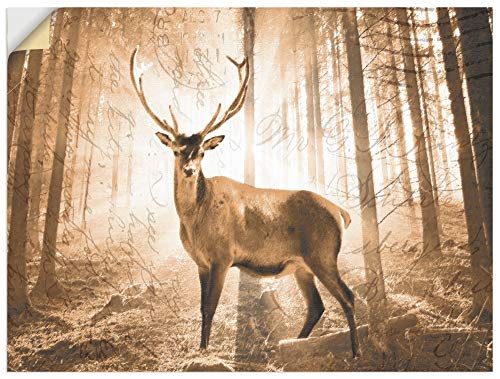 ARTland Wanddeko Wandtattoo selbstklebende Vinylfolie 40x30 cm Hirsch Tiere Geweih Natur Wald Landschaft Rustikal Landhaus T5ST