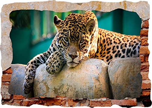Wandtattoo Rissig DIY Fototapete Tiger Animal Jungle 3d Smashed Wall View Sticker Poster Vinyl 89 80x120CM