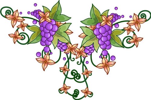 PEMA INDIGOS UG - Wandtattoo Wandsticker Wandaufkleber Aufkleber bunt ME025 Blume Hibiskus Ranke Tribal Weintrauben 120 x 80 cm