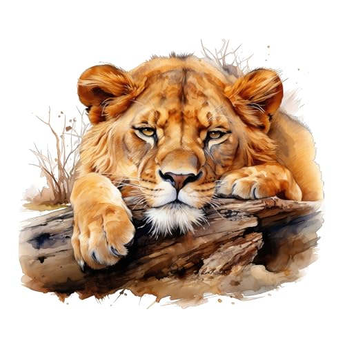 GRAZDesign Wandtattoo Safari Tiger Tiere Wandaufkleber Wildtiere Wandsticker für Wohnzimmer, Schlafzimmer, Kinderzimmer - 65x57cm