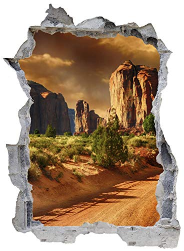 DesFoli USA Amerika Canyon Sand Wandtattoo Wandsticker Wandaufkleber E0625 Größe 46 cm x 62 cm