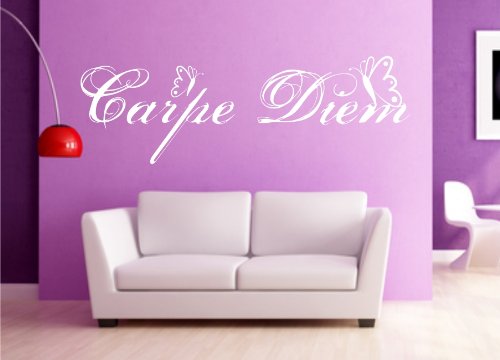 Carpe Diem Wandtattoo mit Schmetterlinge Freie Farbwahl Motiv sz01-c Wandaufkleber original Stickerkoenig - 100x33cm