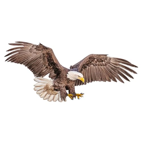 BATHVEVE Dekorative Wandaufkleber Babyzimmerdekor Eule Ästhetische Raumdekoration Adler-Statue Spielzimmer Aufkleber Wandleuchte Wandtattoo Adler Wohnkultur Wand PVC