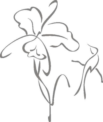 INDIGOS UG - Wandtattoo Wandsticker Wandaufkleber Aufkleber D358 Kolibris und Orchideen 120x101 cm - glasdekor