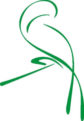 INDIGOS UG - Wandtattoo Wandsticker Wandaufkleber Aufkleber D320 Papagei in den Morgen 40x27 cm - grün