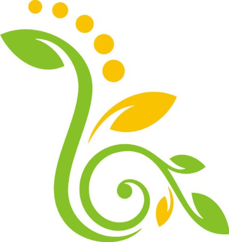 PEMA INDIGOS UG - Wandtattoo Wandsticker Wandaufkleber Aufkleber - Wandaufkleber DF155 Mehrfarbig Orchidee BlütenBlätter 40 x 37 cm