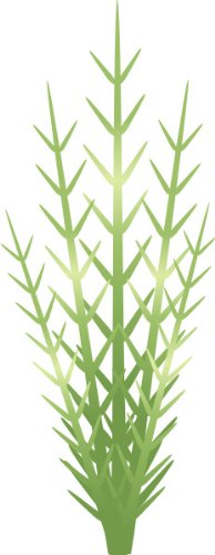 PEMA INDIGOS UG - Wandtattoo Wandsticker Wandaufkleber Aufkleber bunt farbig MF218 Gras Ranke Tribal Blatt Blume Pflanze 180 x 70 cm