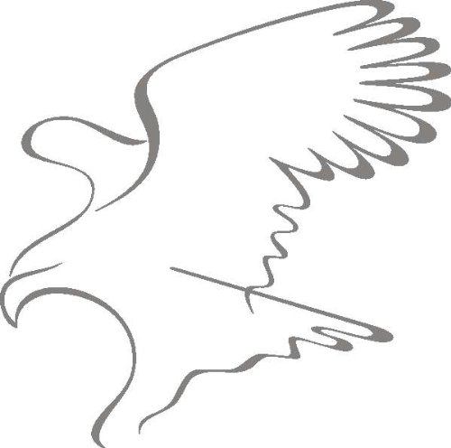 PEMA INDIGOS UG - Wandtattoo Wandsticker Wandaufkleber Aufkleber d387 Adler stürzen 120x118 cm - glasdekor
