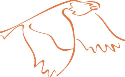PEMA INDIGOS UG - Wandtattoo Wandsticker Wandaufkleber Aufkleber D359 Fliegender Adler Vogel 96x59 cm - hasselnussbraun