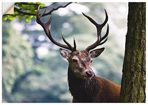 ARTland Wanddeko Wandtattoo selbstklebende Vinylfolie 100x70 cm Hirsch Tiere Wald Landschaft Landhaus Rustikal T0MO