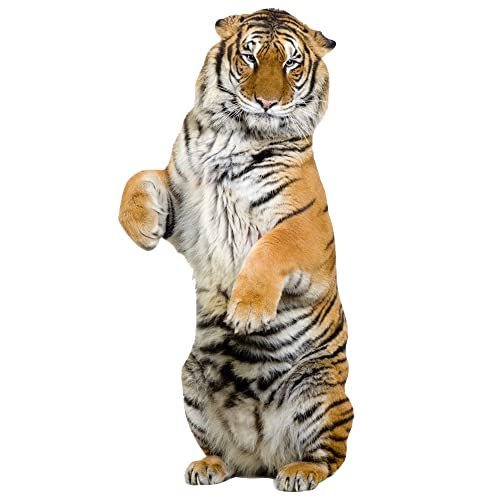 GRAZDesign Wandtattoo Tiger stehend | Wandaufkleber Afrika | Wandsticker Deko Aufkleber 3d, Wildkatze Raubkatze Wohnzimmer Schlafzimmer Flur, 117x57cm