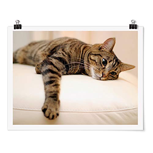 Bilderwelten Poster Wall-Art mit Klammern - Cat Chill Out - Querformat 3:4 Matt 30 x 40cm