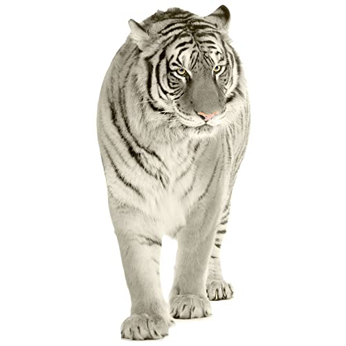 Wandtattoo Tiger Schwarz Weiß Tattoo | Wandsticker Deko Aufkleber 3d, Wandaufkleber Wildkatze Raubkatze Wohnzimmer Schlafzimmer Flur, 87x40cm