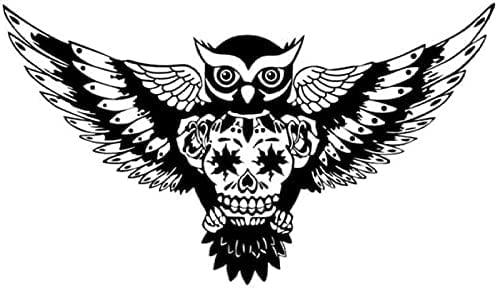 Wandaufkleber - Vinyl-Wandtattoo Art Deco Fliegende Eule Glastapete Vogel 44X77Cm