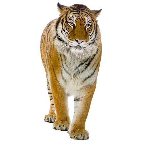 GRAZDesign Wandtattoo Tiger laufend | Wandaufkleber Afrika | Wandsticker Deko Aufkleber 3d, Wildkatze Raubkatze Wohnzimmer Schlafzimmer Flur, 126x57cm