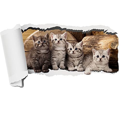 GRAZDesign Wandtattoo Katzen, Kleine Katzen, Babykatzen, Wandaufkleber für Wohnzimmer Kinderzimmer Tapete selbstklebend (55x30cm)